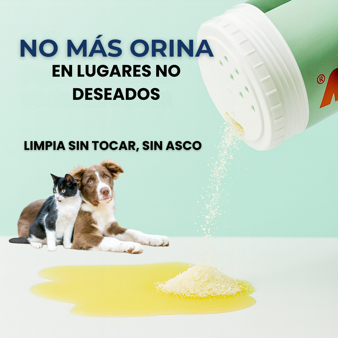 Polvo Limpiador de Orina PipiDry
